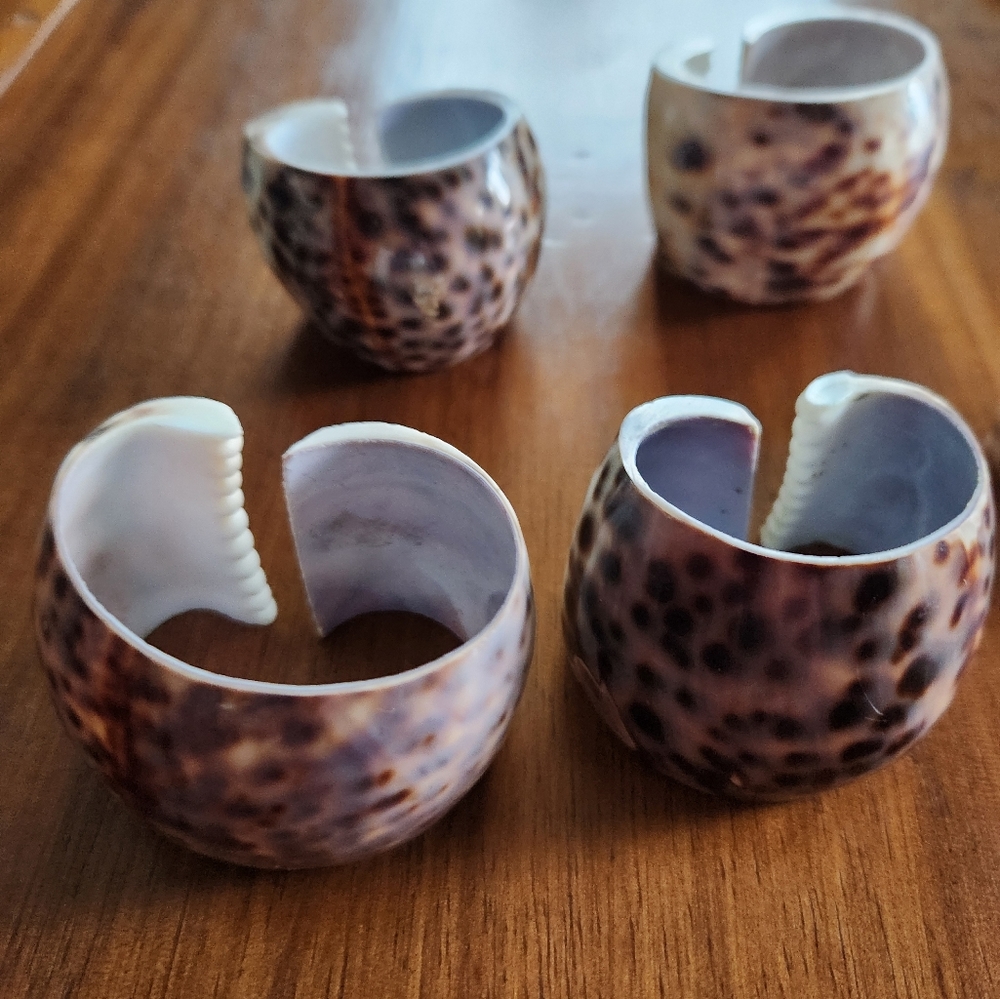 Cowrie Sea Shell Napkin Rings - Picture 4 of 6